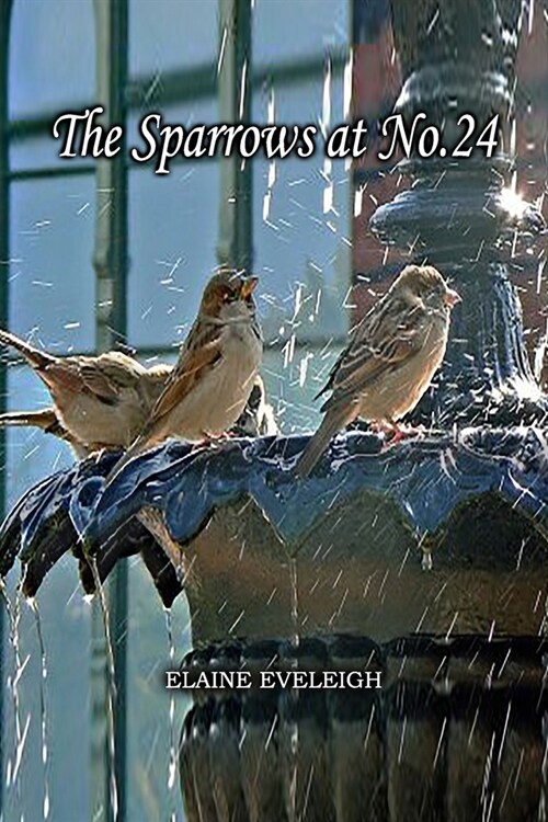 The Sparrows at No.24 (Paperback)