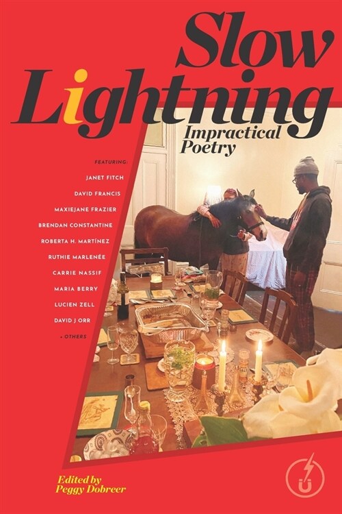 Slow Lightning: Impractical Poetry (Paperback)