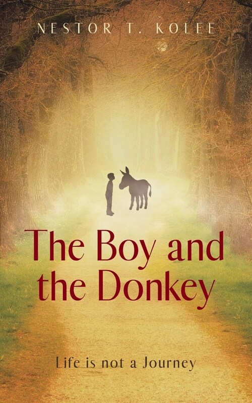 The Boy and the Donkey: Life is not a Journey (Paperback)