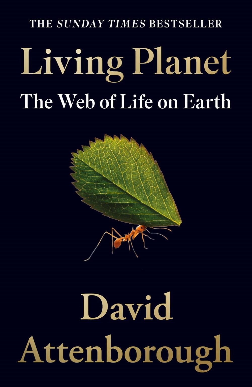 Living Planet : The Web of Life on Earth (Paperback)