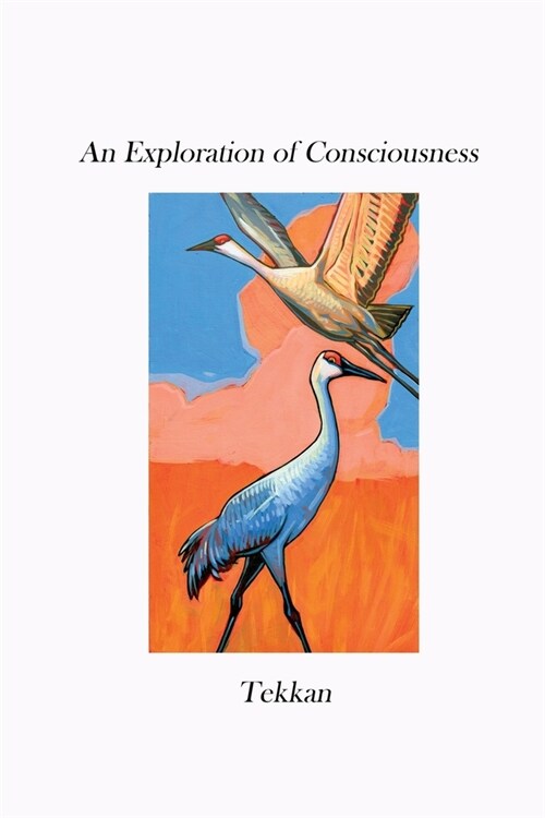 An Exploration of Consciousness V (Paperback)