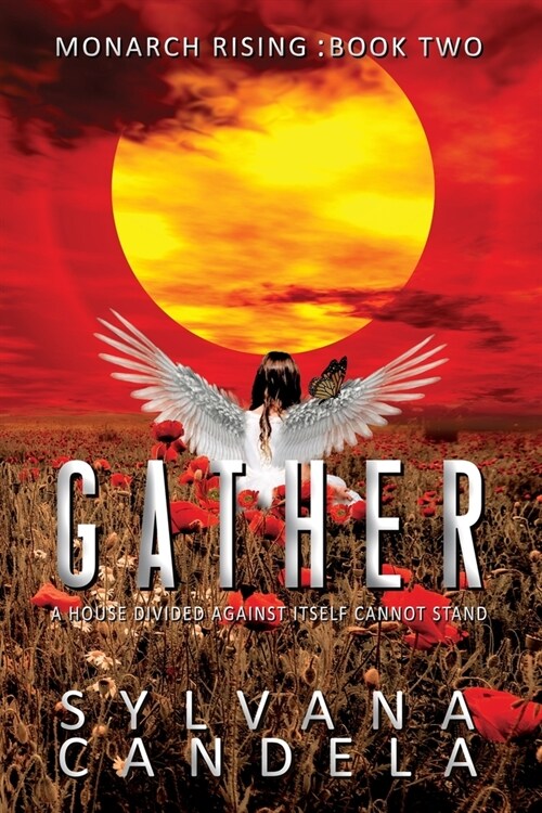 Gather: A House Divided Against Itself Cannot Stand (Paperback)