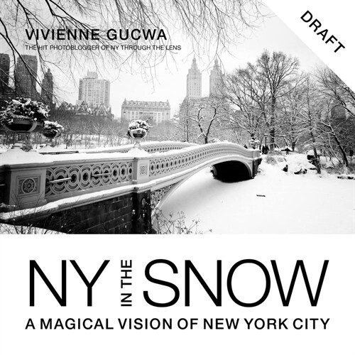 New York in the Snow: A Magical Vision of New York City (Hardcover)