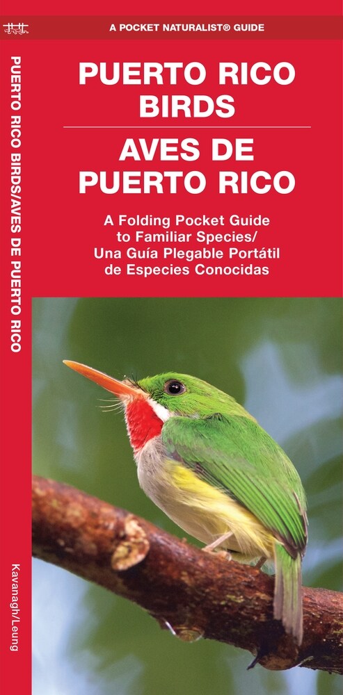 Puerto Rico Birds/Aves de Puerto Rico (Bilingual): A Folding Pocket Guide to Familiar Species/Una Guia Plegable Portail de Especies Conocidas (Paperback)