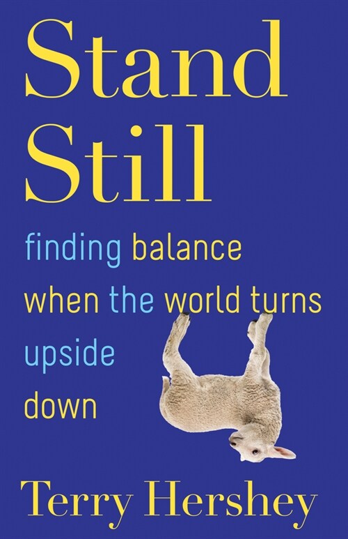 Stand Still: Finding Balance When the World Turns Upside Down (Paperback)