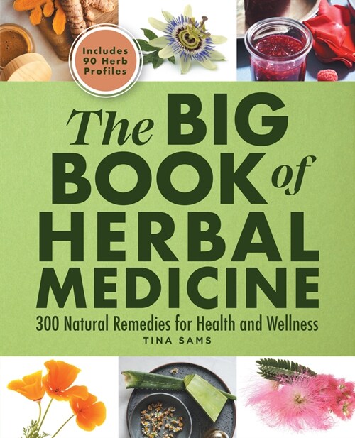 The Big Book of Herbal Medicine: 300 Natural Remedies for Health and Wellness (Paperback)