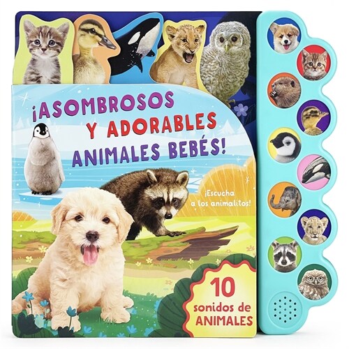 Asombrosos Y Adorables Animales Beb? / Amazing, Adorable Animal Babies (Spanish Edition) (Board Books)