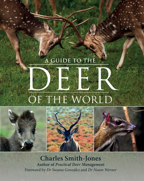 A Guide to the Deer of the World (Hardcover)