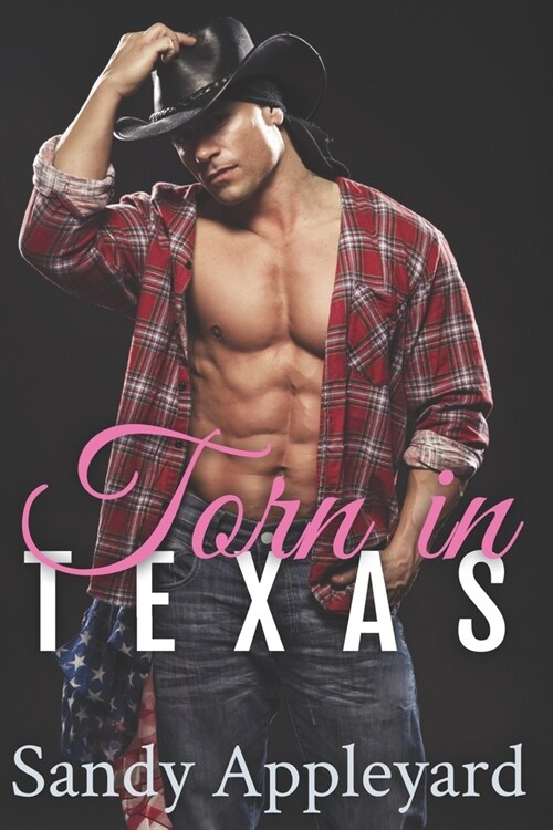 Torn in Texas (Paperback)