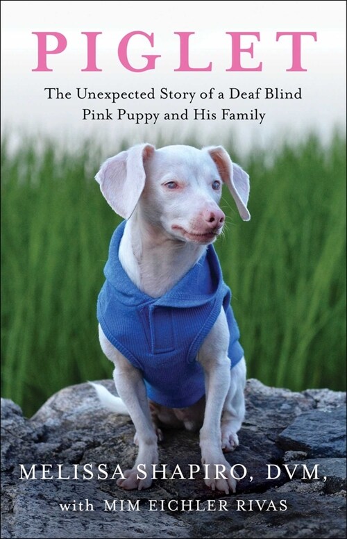 Piglet: The Unexpected Story of a Deaf, Blind, Pink Puppy and His Family (Paperback)