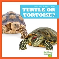 Turtle or Tortoise? (Paperback)