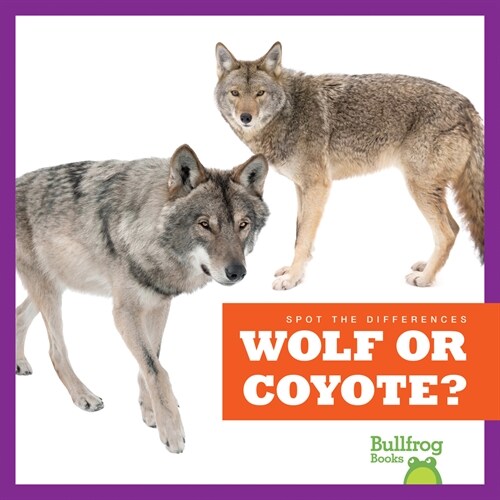 Wolf or Coyote? (Paperback)