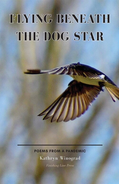 Flying Beneath the Dog Star: Poems from a Pandemic (Paperback)