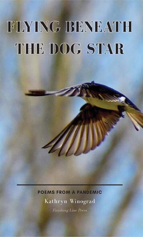 Flying Beneath the Dog Star: Poems from a Pandemic (Hardcover)