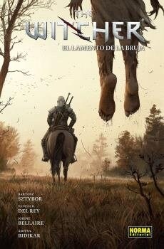 THE WITCHER 6. EL LAMENTO DE LA BRUJA (Paperback)