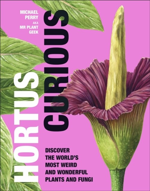 Hortus Curious : Discover the Worlds Most Weird and Wonderful Plants and Fungi (Hardcover)