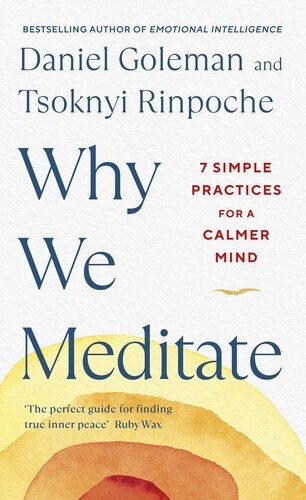 Why We Meditate : 7 Simple Practices for a Calmer Mind (Hardcover)