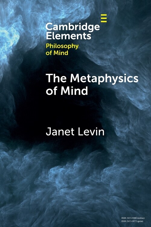 The Metaphysics of Mind (Paperback, New ed)