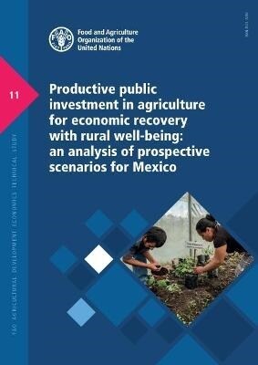Productive Public Investment in Agriculture for Economic Recovery with Rural Well-Being : An Analysis of Prospective Scenarios for Mexico (Paperback)