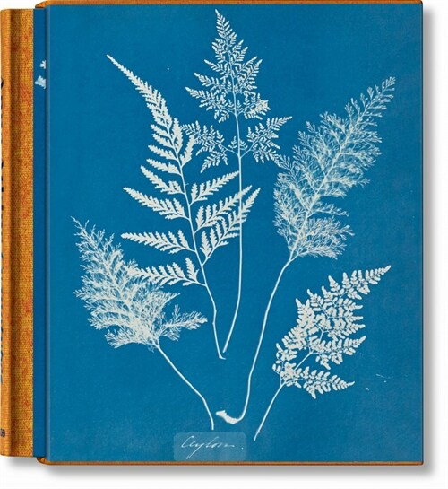Anna Atkins. Cyanotypes (Hardcover)