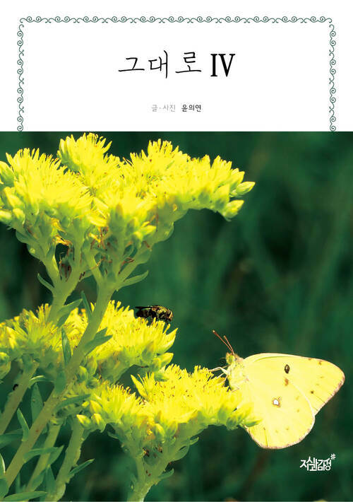 그대로 Ⅳ 커버