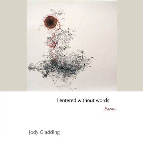 I Entered Without Words: Poems (Hardcover)