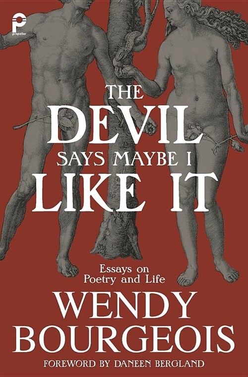 The Devil Says Maybe I Like It: Essays on Poetry and Life (Paperback)