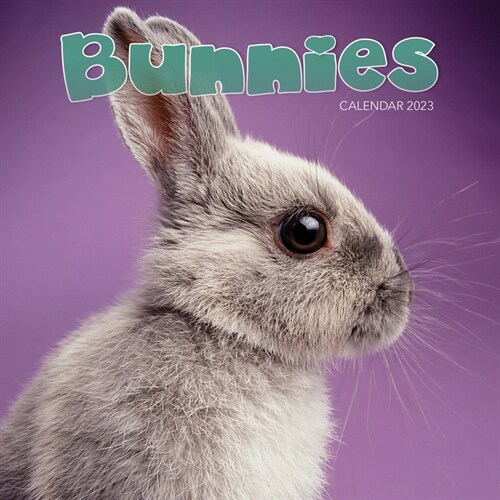 2023 Bunnies Mini Calendar (Mini)