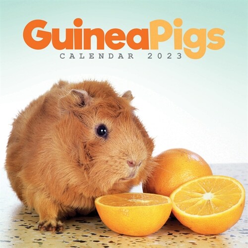 2023 Guinea Pigs Mini Calendar (Mini)