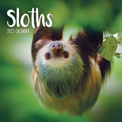 2023 Sloths Mini Calendar (Mini)