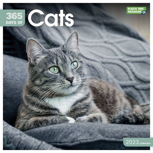 2023 Cats 365 Days Wall Calendar (Wall)