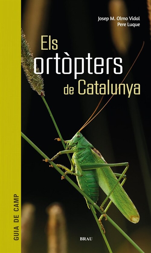 ELS ORTOPTERS DE CATALUNYA (Paperback)