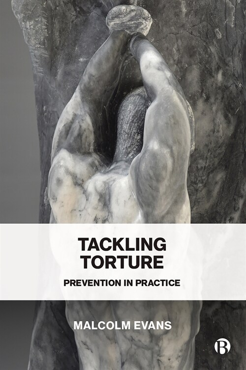 Tackling Torture: Prevention in Practice (Hardcover)