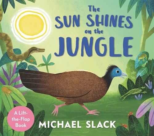 The Sun Shines on the Jungle (Board Books)