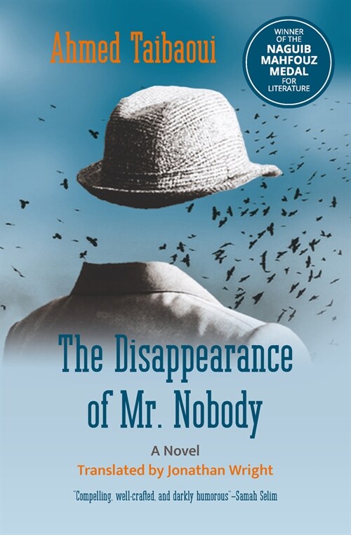 The Disappearance of Mr. Nobody (Paperback)