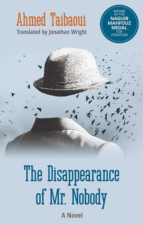 The Disappearance of Mr. Nobody (Hardcover)