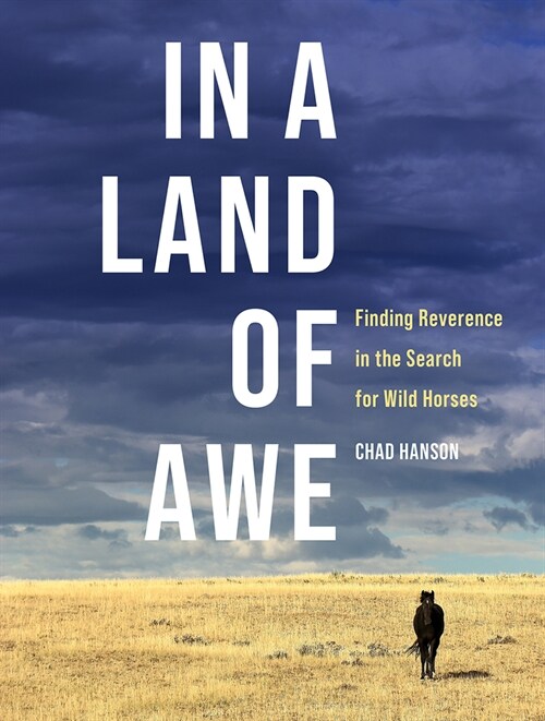 In a Land of Awe: Finding Reverence in the Search for Wild Horses (Hardcover)