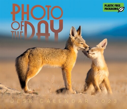 2023 Photo of the Day Box Calendar (Daily)