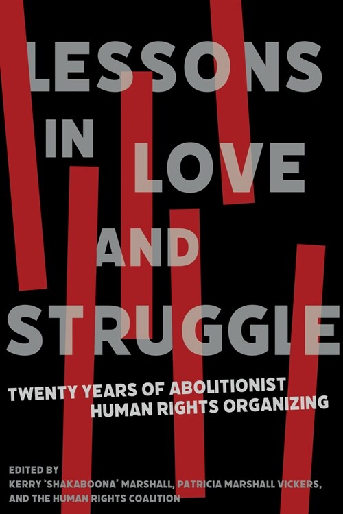 Lessons in Love and Struggle : Twenty Years of Abolitionist Human Rights Organizing (Paperback)