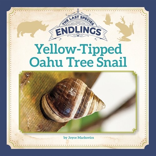 Yellow-Tipped Oahu Tree Snail (Library Binding)