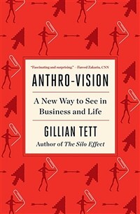 Anthro-Vision: A New Way to See in Business and Life (Paperback)