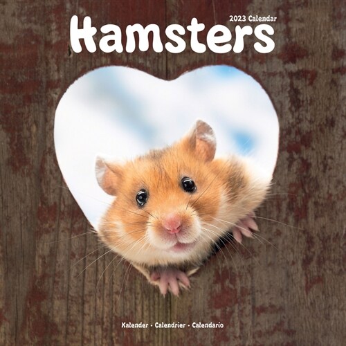 Hamsters 2023 Wall Calendar (Calendar)