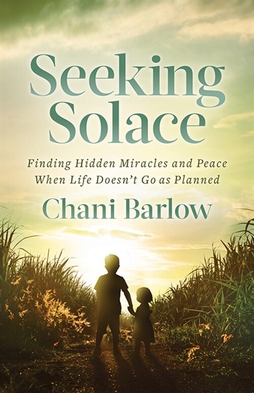 Seeking Solace: Finding Hidden Miracles and Peace When Life Doesnt Go as Planned (Paperback)