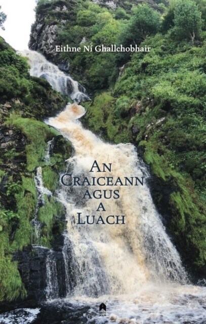 An Craiceann Agus a Luach (Paperback)