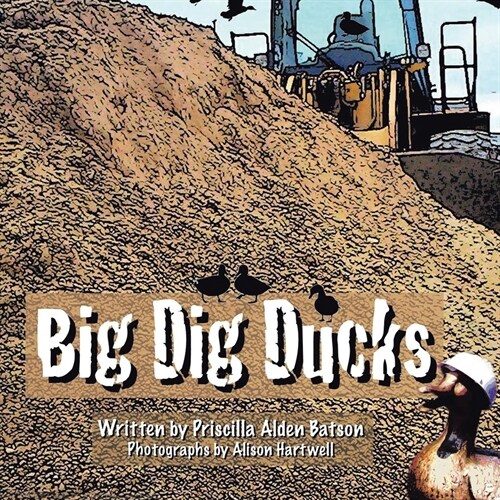 Big Dig Ducks (Paperback)