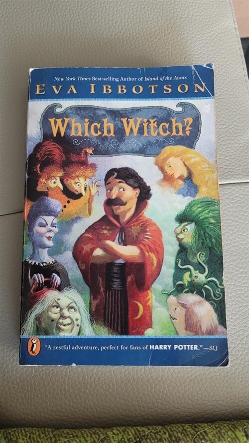 [중고] Which Witch? (Paperback)