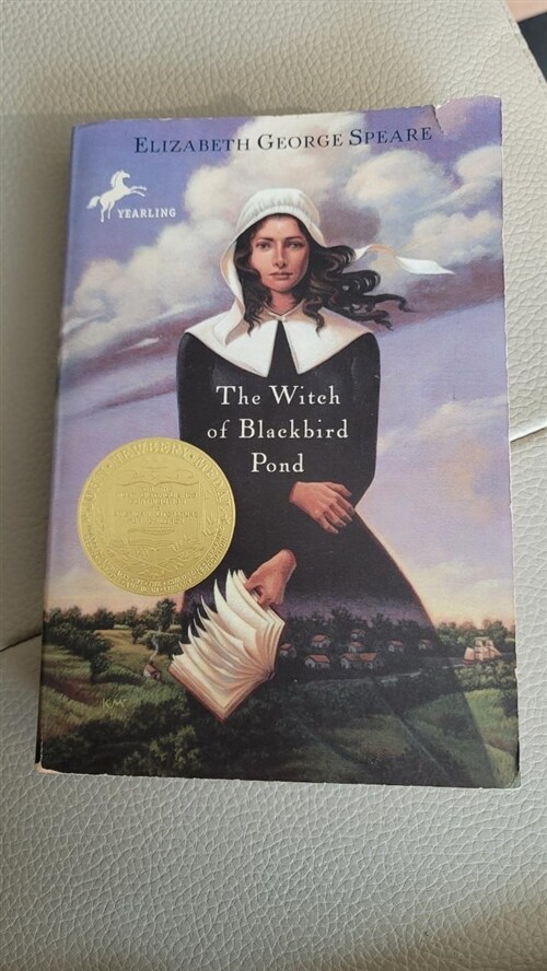 [중고] Witch of Blackbird Pond (Paperback, Reprint)