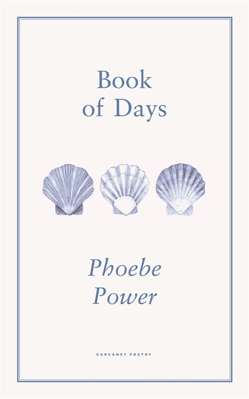 Book of Days (Paperback)