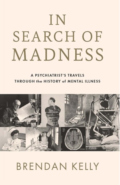 In Search of Madness: A Psychiatrists Travels Through the History of Mental Illness (Paperback)