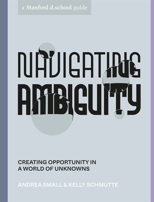 Navigating Ambiguity: Creating Opportunity in a World of Unknowns (Paperback)